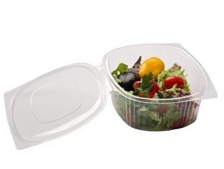 Disposable food containers with hinged lid for salads