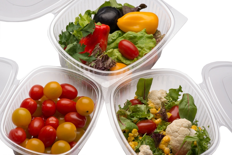 Deli containers with hinged lid for gastronomy and To Go